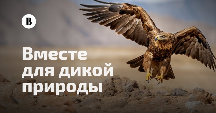Участвуйте в проекте «Вместе для дикой природы»!